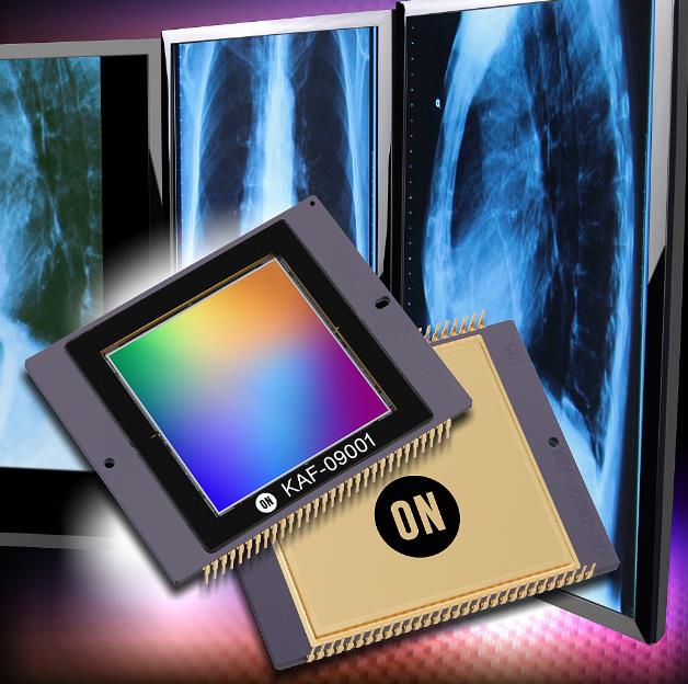 ɭ뵼ͼ񴫸ǿXĲ˰ȫ