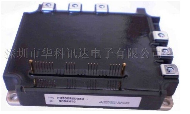 PM300RSD060