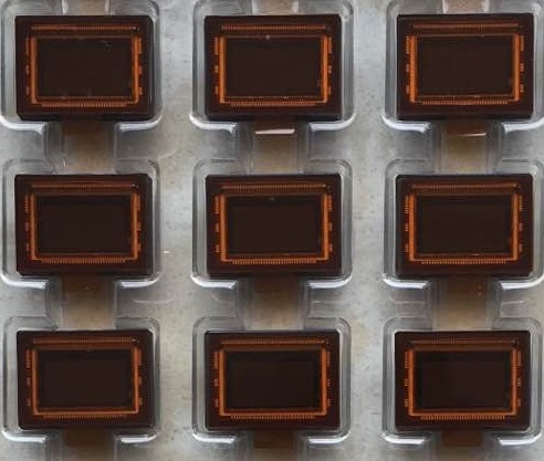 CMV2000-3E5M1PP