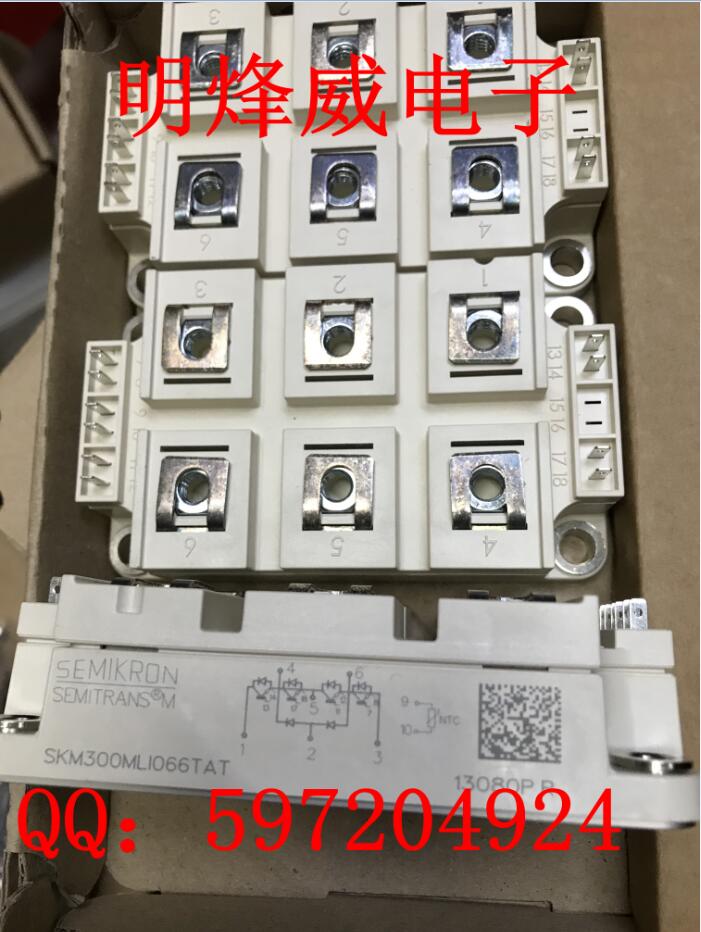 SKM300MLI066TAT